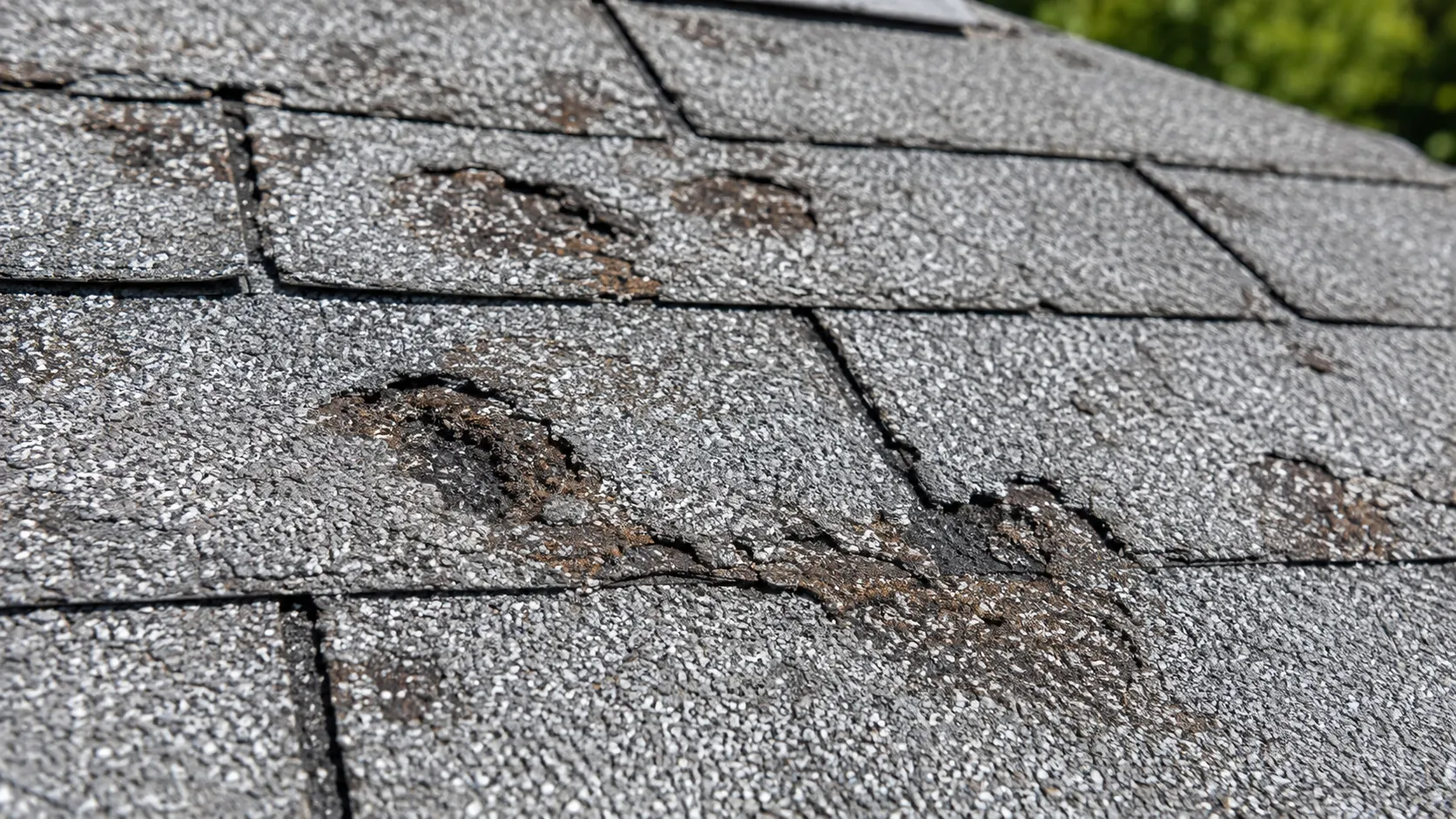 roofing insurance claim assistance Close-up of hail damage on asphalt roof shingles documented for an insurance claim